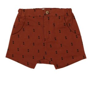 Custom Toddler Shorts